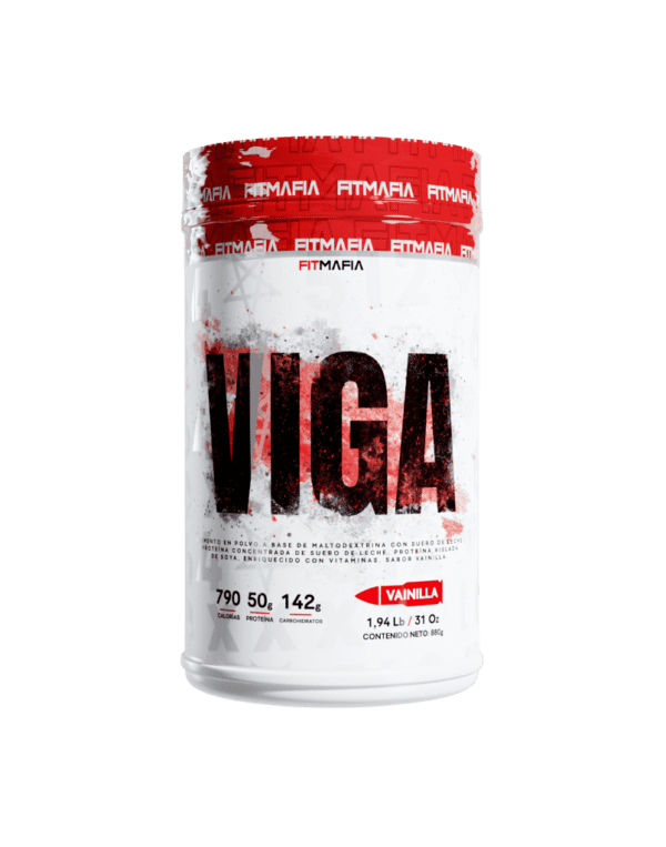 VIGA 1.94 - Imagen 3